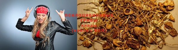 apvp Алексеевка