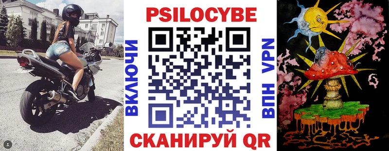 купить   Шахты  mega онион  Псилоцибиновые грибы мухоморы 
