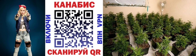 Шишки марихуана White Widow  купить наркотики цена  дарк нет как зайти  Шахты 